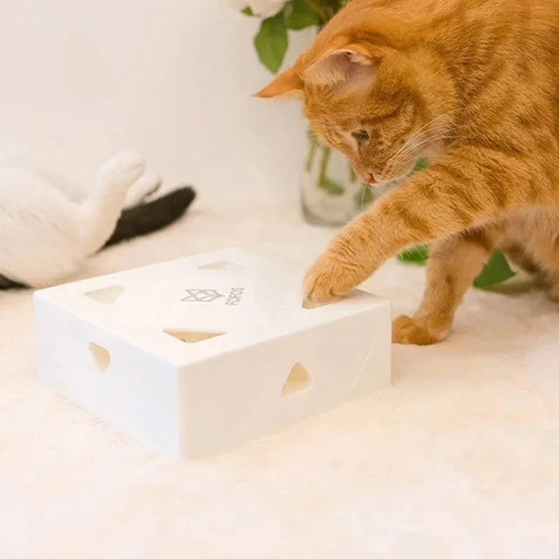 קופסת קסמים מצחיקה לחתולים