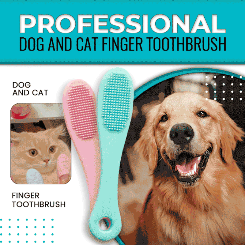 מברשת שיניים מקצועית לחתול והכלב