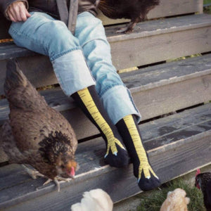 גרבי רגלי עוף