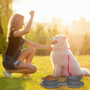 A set of collapsible pet travel bowls