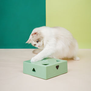 Funny magic box for cats