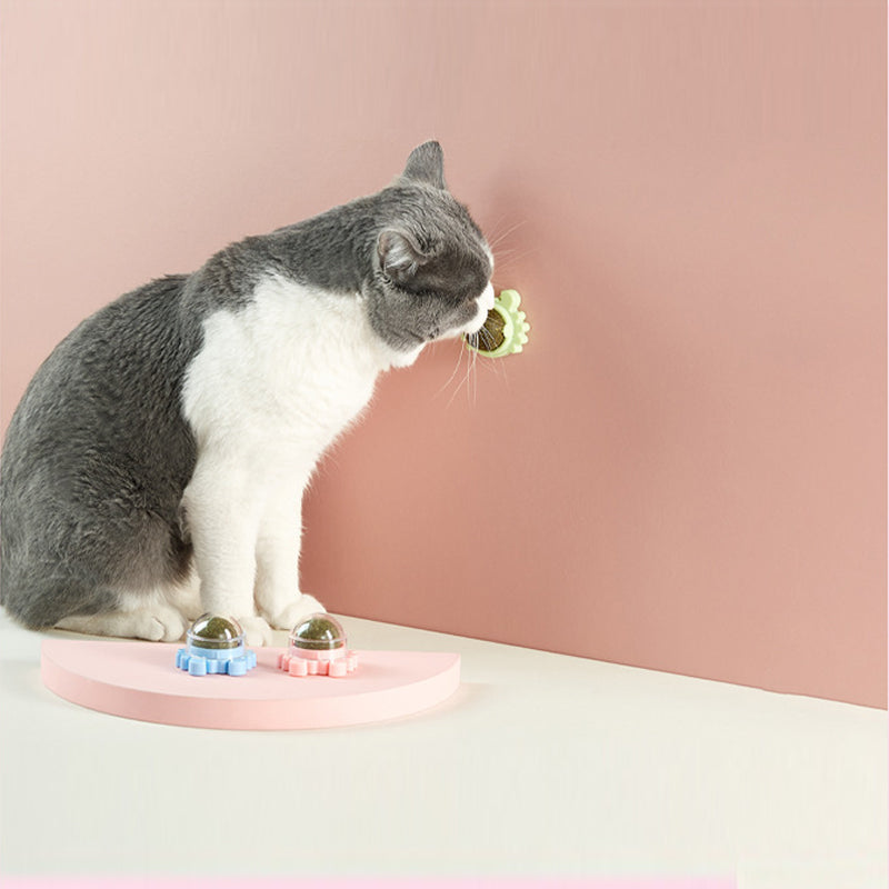 Edible cat toys