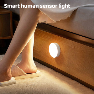 Smart LED sensor light 