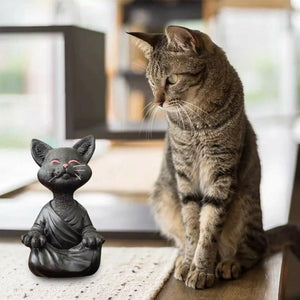 חתול בודהה