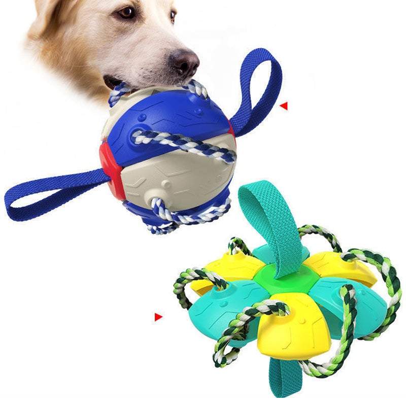 כדורי צעצוע חוצני לכלבים