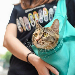 Travel pouch for the cat