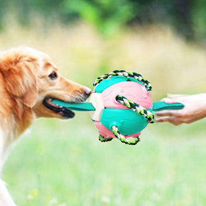 Extraterrestrial toy balls for dogs
