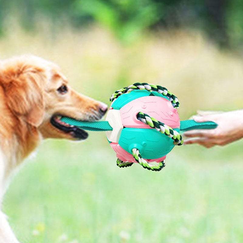 כדורי צעצוע חוצני לכלבים