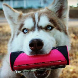 A multipurpose grooming brush for pet hair removal 