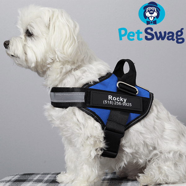 Dog harness without pull 