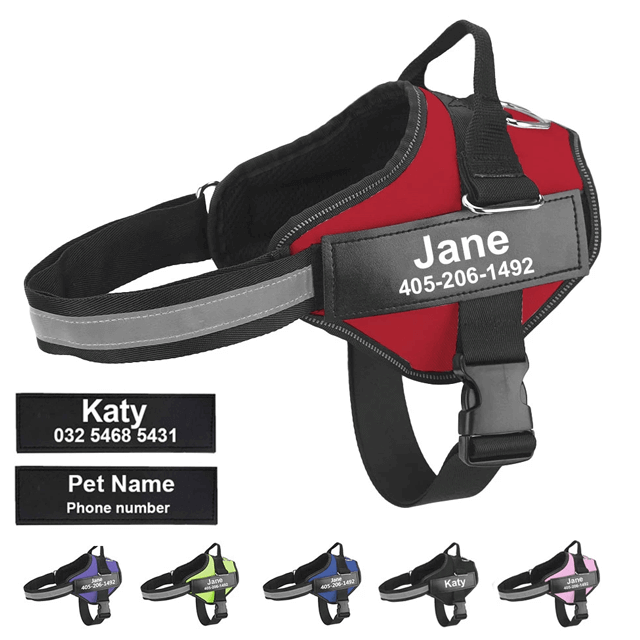 Dog harness without pull 