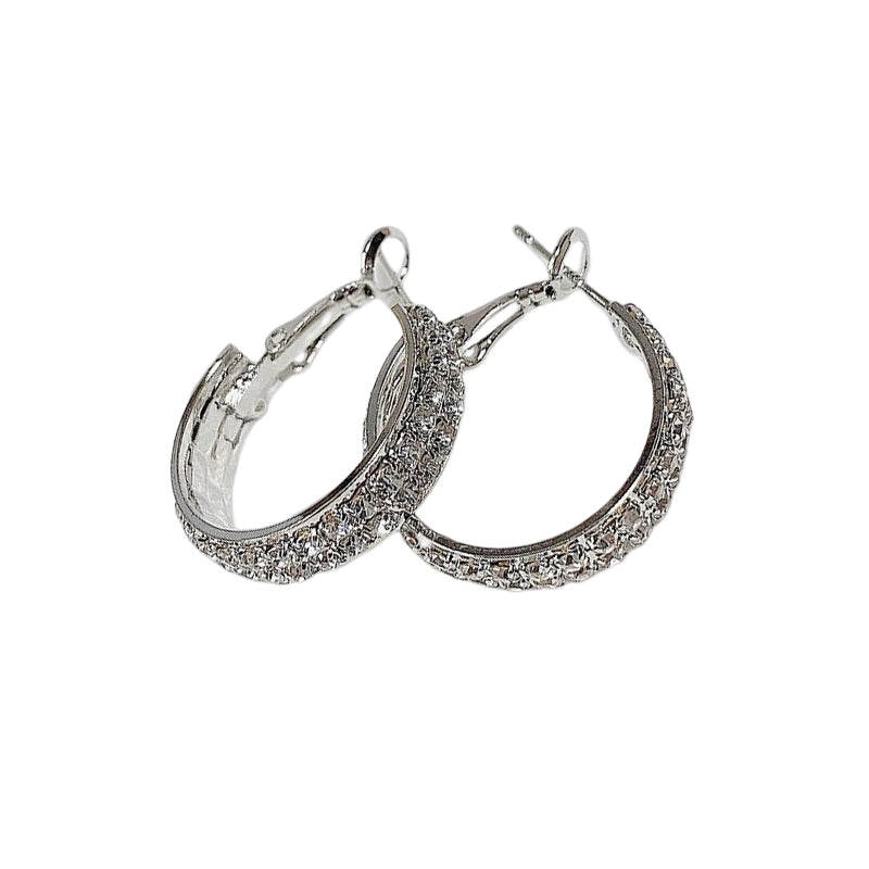 Small and shiny hoop earrings