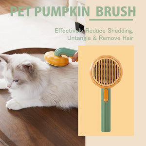 Pumpkin brush for combing pets